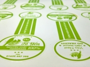 Decal trong và decal sữa nên chọn loại nào?