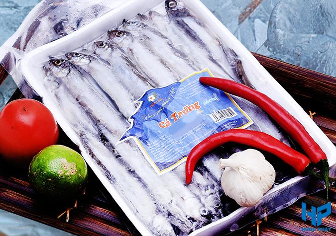 In decal thủy hải sản TPHCM